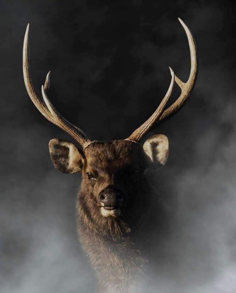 Horton Plains
