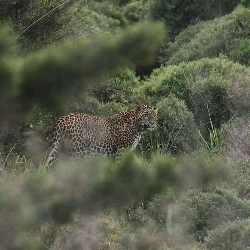 Horton Plains
