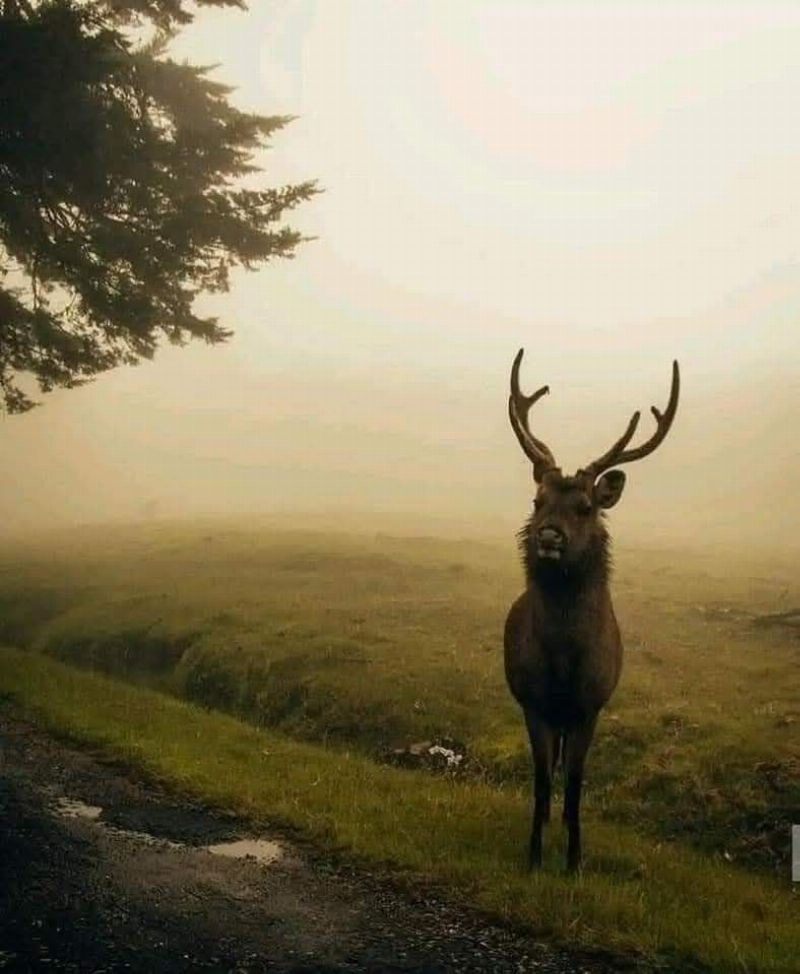 Horton Plains