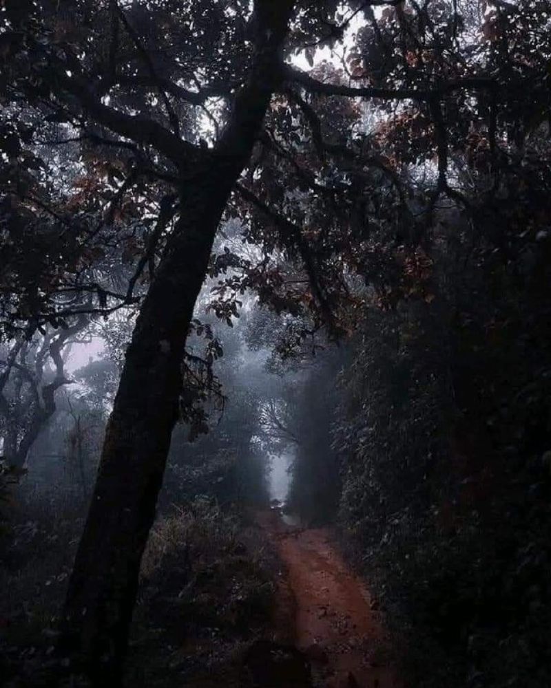Horton Plains